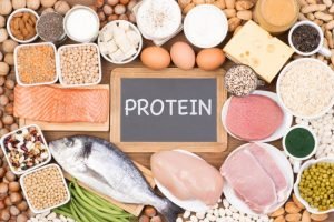 Makanan Protein