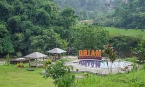 D’Riam-Riverside-Resort