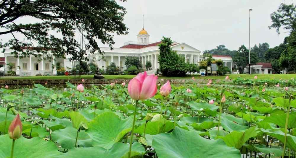 kebun-raya-bogor