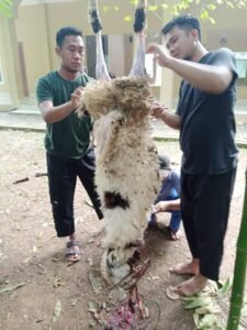 Pemotongan Hewan Qurban di Pesona Prima Cikahuripan 5 dan 6