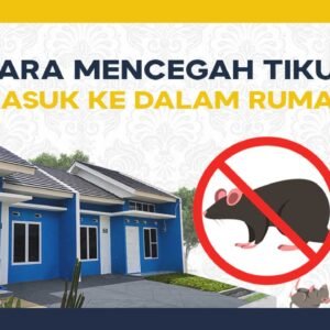 Cara Mencegah Tikus Masuk ke Dalam Rumah Agar Efektif untuk Hunian Bebas Hama