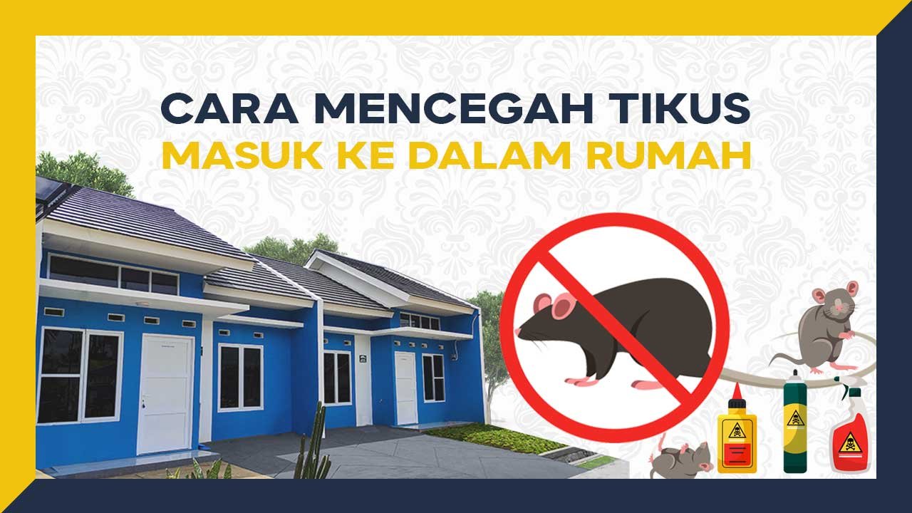 Cara Mencegah Tikus Masuk ke Dalam Rumah Agar Efektif untuk Hunian Bebas Hama