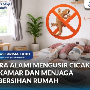 Cara Mengusir Cicak di Kamar Secara Alami, Aman, dan Menjaga Kebersihan Rumah