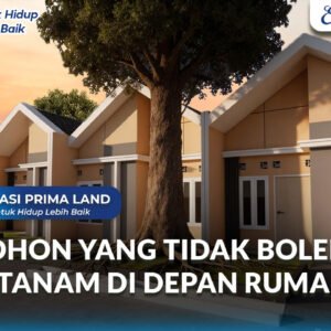 Pohon yang Tidak Boleh Ditanam di Depan Rumah dan Tips Menanam yang Benar