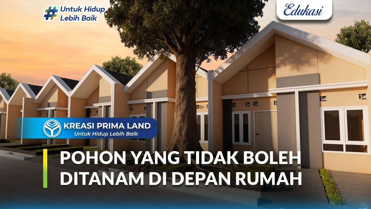 Pohon yang Tidak Boleh Ditanam di Depan Rumah dan Tips Menanam yang Benar