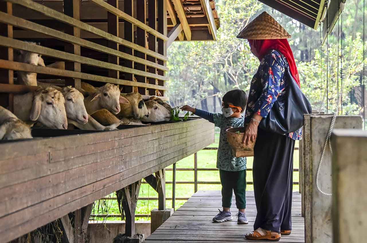Jadikan Idul Adha 2026 sebagai Titik Balik Finansial
